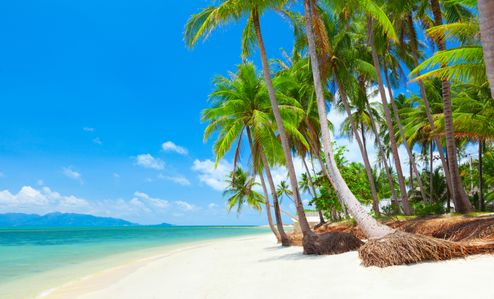 Detox i Thailand