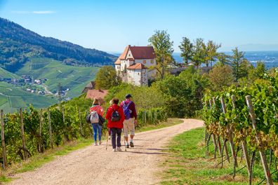 Tolle Wanderwege locken Naturfreunde in den Schwarzwald.