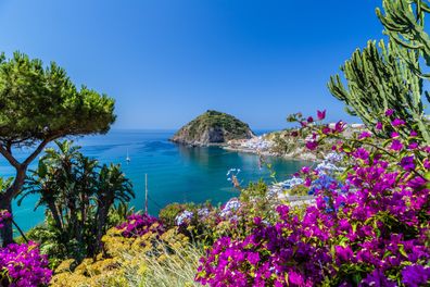 Ischia panorama