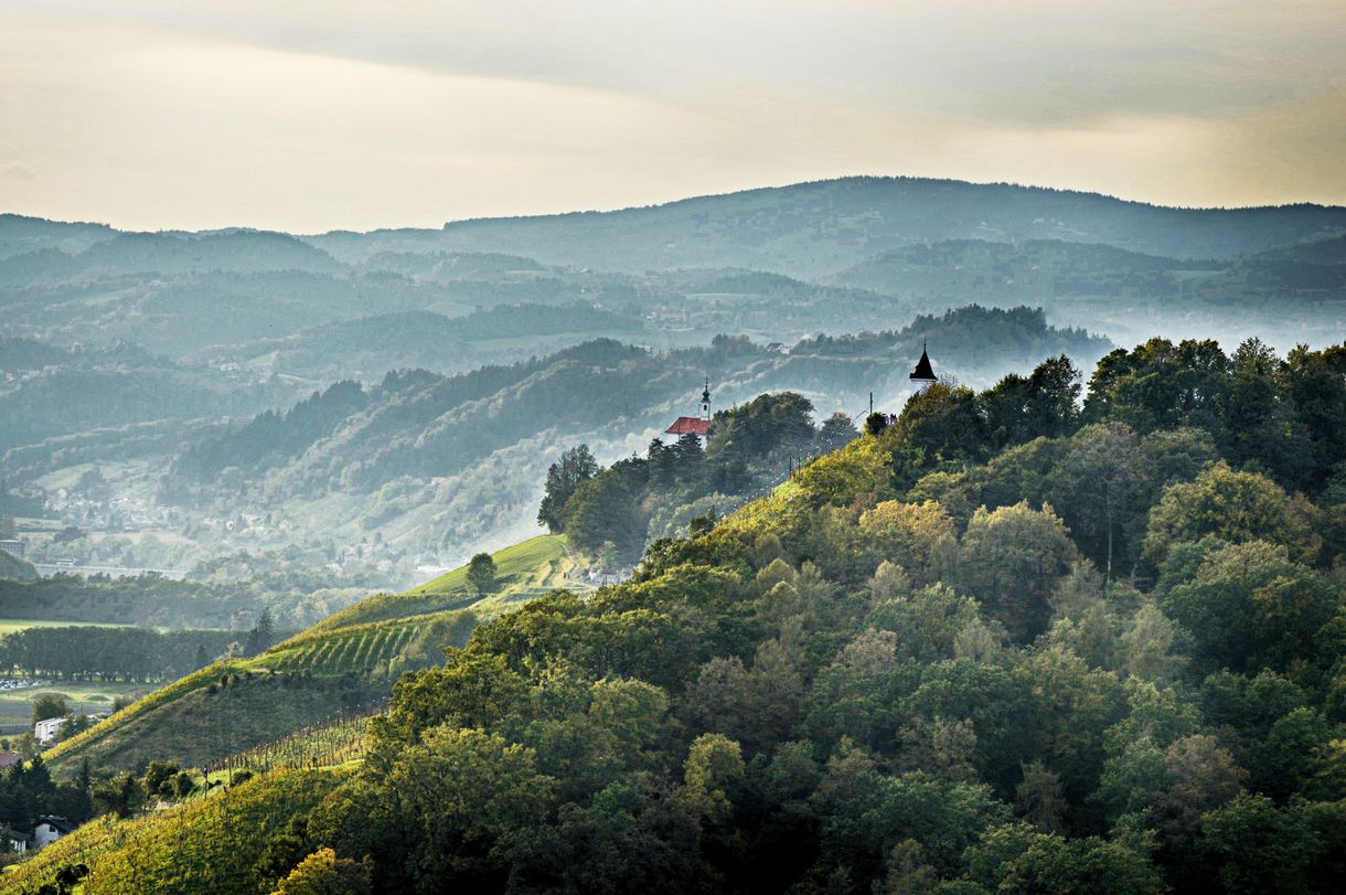 Paesaggio Slovenia
