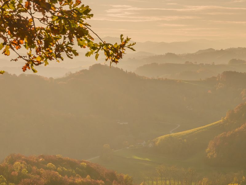 Paesaggio Slovenia