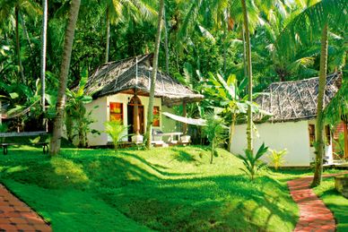 Nikki's Nest India