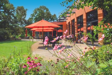 Consiglio: GIORNATE Spa a HEIDE